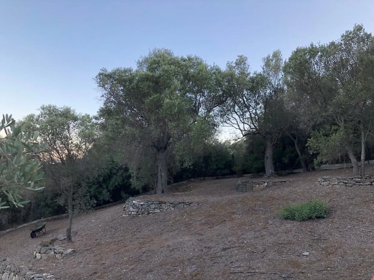 Villa Anna'S Olive Grove à Amoliani Hébergement de vacances
